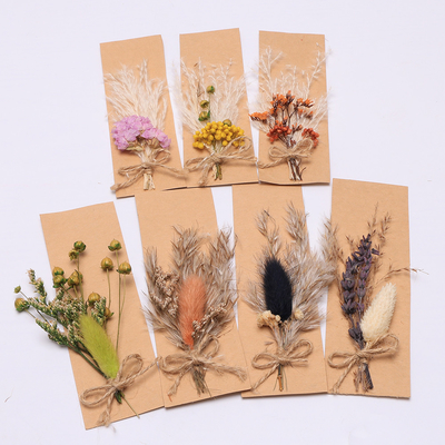 Opp Bag Pampas Natural Suszona Trawa Potpourri 43*15 cm
